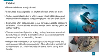 10
• Pollution
Marine debris are a major threat.
Sea turtles mistake plastic for jellyfish and can choke on them
Turtles ingest plastic debris which cause intestinal blockage and
malnutrition which results in reduced growth rate and even death
Sea turtles often get entangled in lost fishing net, plastic packaging
straps etc. . Plastic straws are also a major threat as they get stuck
in their nostrils.
The accumulation of plastics at key nesting beaches means that
baby turtles are among the most risk from plastic entanglement,
preventing them from reaching the sea.
Oil spill and chemical run-off from agriculture through rivers and
drains cause 36% of marine pollution. This affects the habitat that
turtles depend on. The sea turtles are at the risk of losing their
habitat.
 