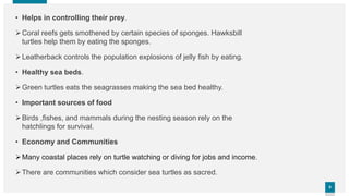 8
8
• Helps in controlling their prey.
Coral reefs gets smothered by certain species of sponges. Hawksbill
turtles help them by eating the sponges.
Leatherback controls the population explosions of jelly fish by eating.
• Healthy sea beds.
Green turtles eats the seagrasses making the sea bed healthy.
• Important sources of food
Birds ,fishes, and mammals during the nesting season rely on the
hatchlings for survival.
• Economy and Communities
Many coastal places rely on turtle watching or diving for jobs and income.
There are communities which consider sea turtles as sacred.
 