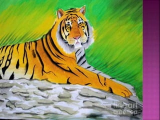 Save Tiger