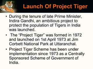 project tiger | PPTX