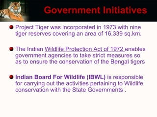 project tiger | PPTX