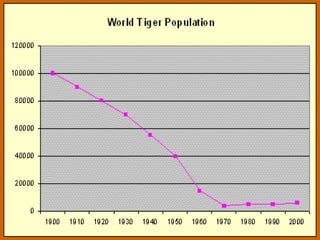 Tiger Project Statistics project tiger | PPTX