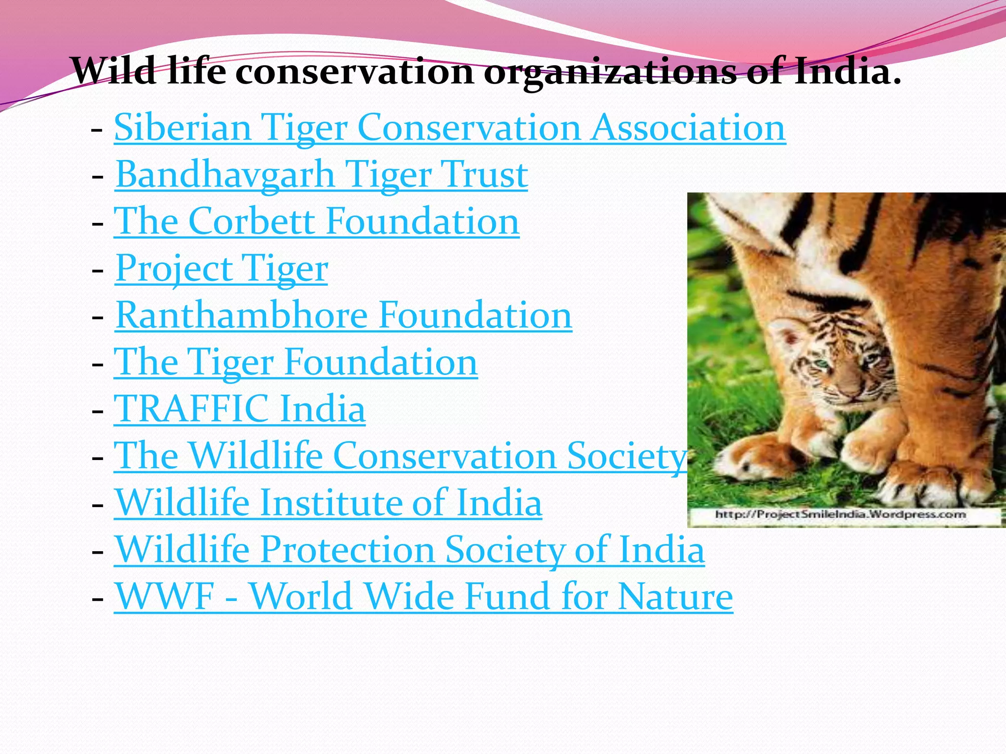 Wild life conservation organizations of India.
 - Siberian Tiger Conservation Association
 - Bandhavgarh Tiger Trust
 - The Corbett Foundation
 - Project Tiger
 - Ranthambhore Foundation
 - The Tiger Foundation
 - TRAFFIC India
 - The Wildlife Conservation Society
 - Wildlife Institute of India
 - Wildlife Protection Society of India
 - WWF - World Wide Fund for Nature
 