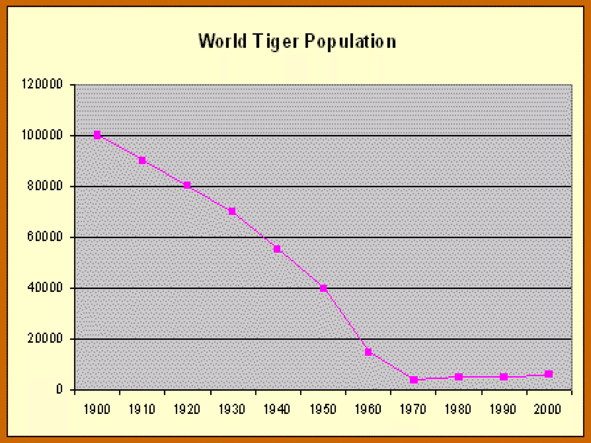 Over the last century more than 95% of the Tiger
population has been wiped out & three sub-species
are already extinct.
Less than 3400 tigers remain in the
wild today with around 1141 in India
& their numbers are declining fast.
 