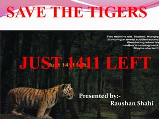 SAVE THE TIGERS


 JUST 1411 LEFT
       Presented by:-
                 Raushan Shahi
 