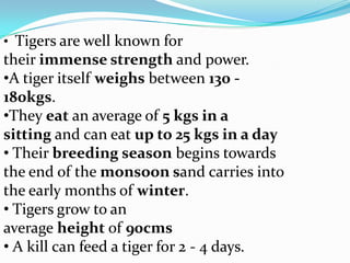 • Tigers are well known for
their immense strength and power.
•A tiger itself weighs between 130 -
180kgs.
•They eat an average of 5 kgs in a
sitting and can eat up to 25 kgs in a day
• Their breeding season begins towards
the end of the monsoon sand carries into
the early months of winter.
• Tigers grow to an
average height of 90cms
• A kill can feed a tiger for 2 - 4 days.
 
