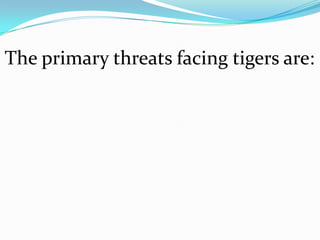 The primary threats facing tigers are:
 