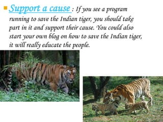 Support a cause : If you see a program
running to save the Indian tiger, you should take
part in it and support their cause. You could also
start your own blog on how to save the Indian tiger,
it will really educate the people.
 