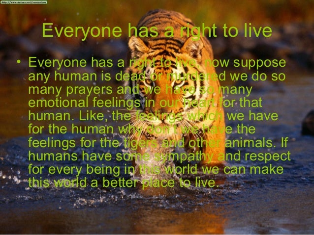 Save tigers