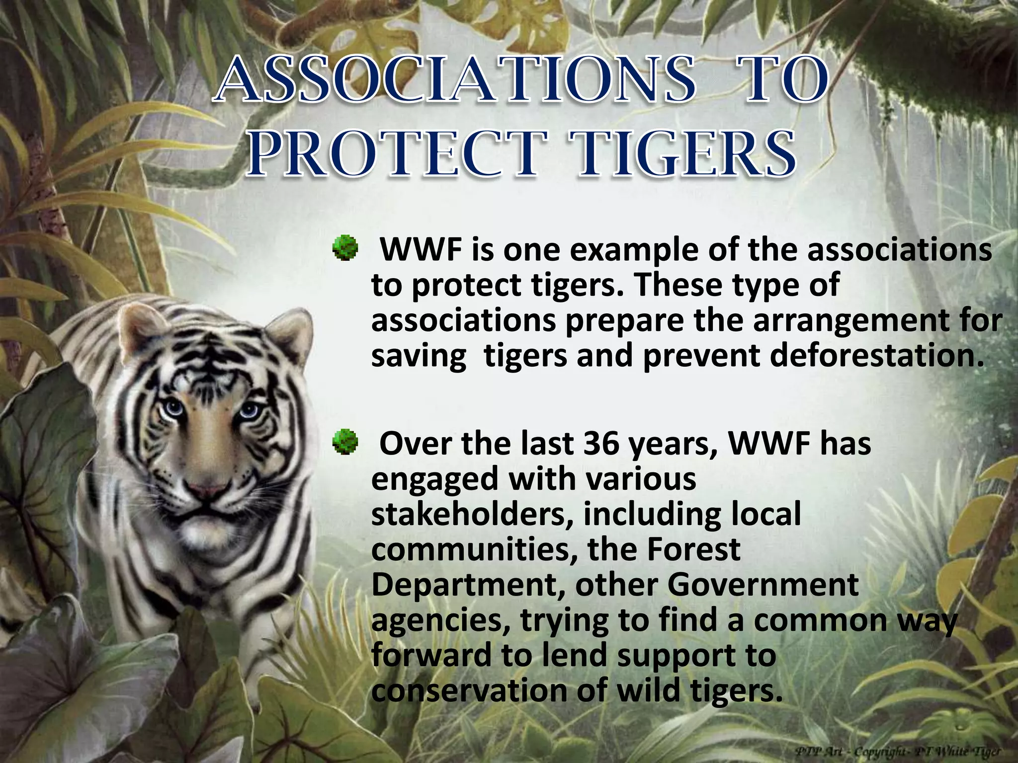 WWF is one example of the associations
to protect tigers. These type of
associations prepare the arrangement for
saving tigers and prevent deforestation.

 Over the last 36 years, WWF has
engaged with various
stakeholders, including local
communities, the Forest
Department, other Government
agencies, trying to find a common way
forward to lend support to
conservation of wild tigers.
 