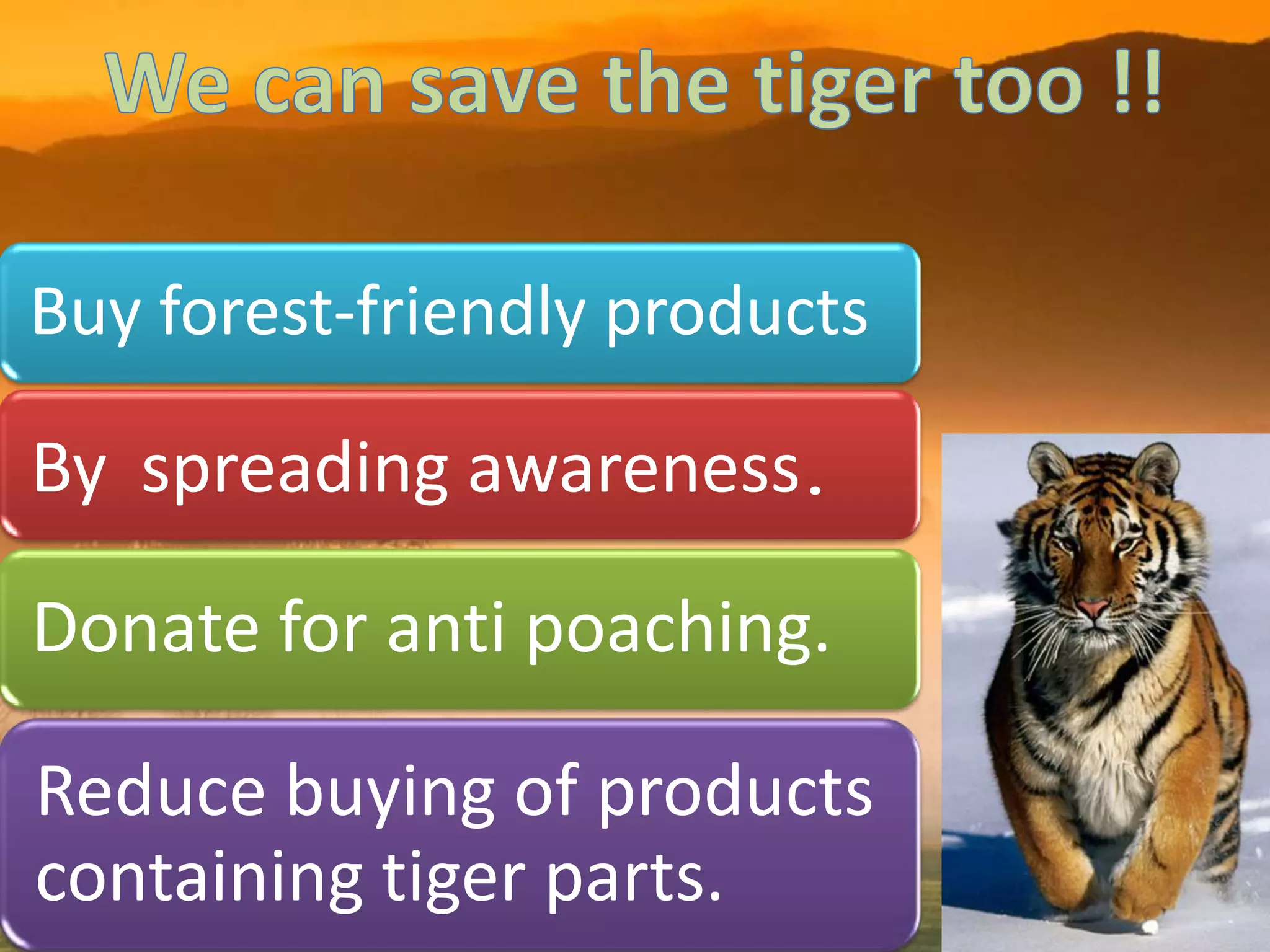 Buy forest-friendly products

By spreading awareness.

Donate for anti poaching.

Reduce buying of products
containing tiger parts.
 