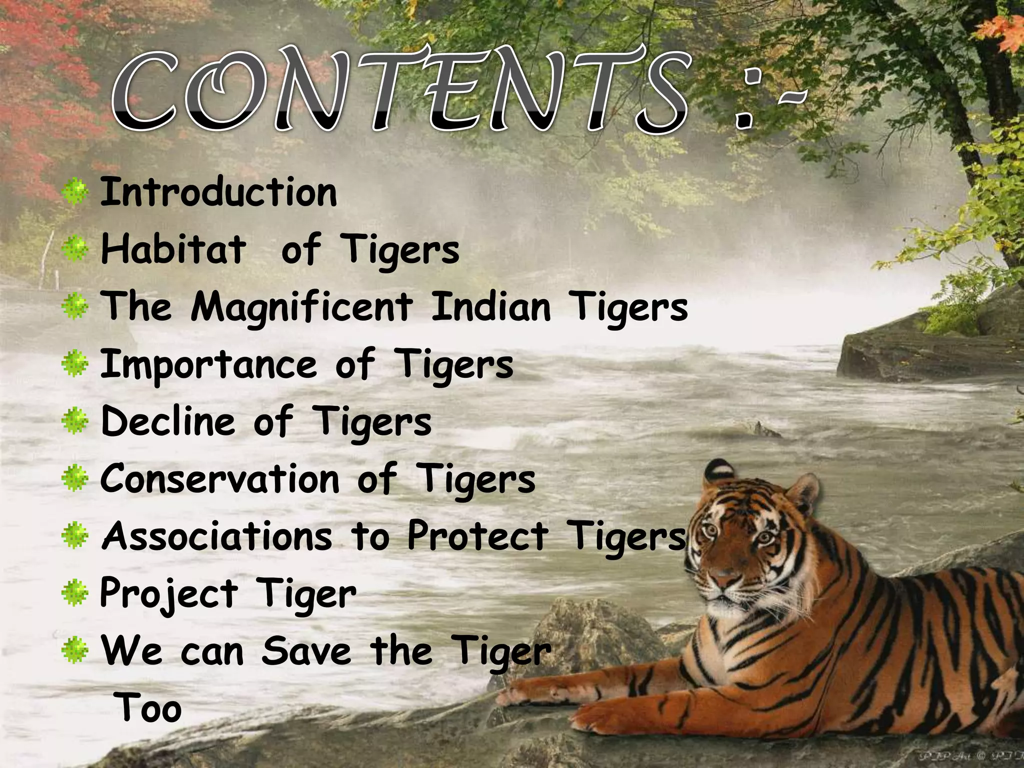 Introduction
Habitat of Tigers
The Magnificent Indian Tigers
Importance of Tigers
Decline of Tigers
Conservation of Tigers
Associations to Protect Tigers
Project Tiger
We can Save the Tiger
 Too
 