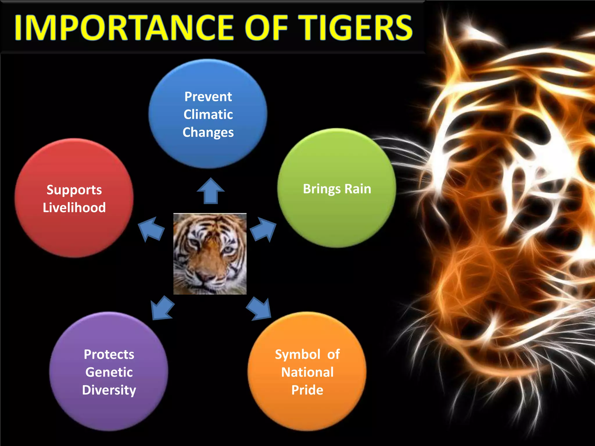 Prevent
                  Climatic
                  Changes


 Supports                       Brings Rain
Livelihood




      Protects               Symbol of
      Genetic                 National
      Diversity                Pride
 