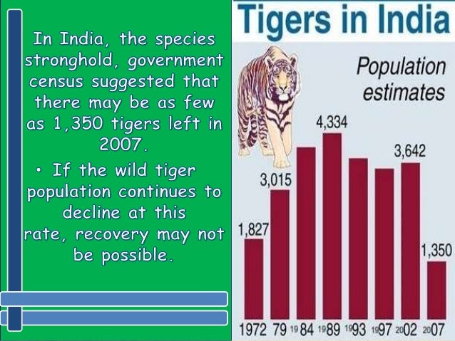 Save tiger india essay