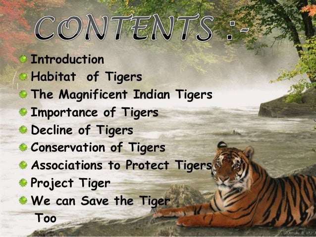 Essay on save tiger project