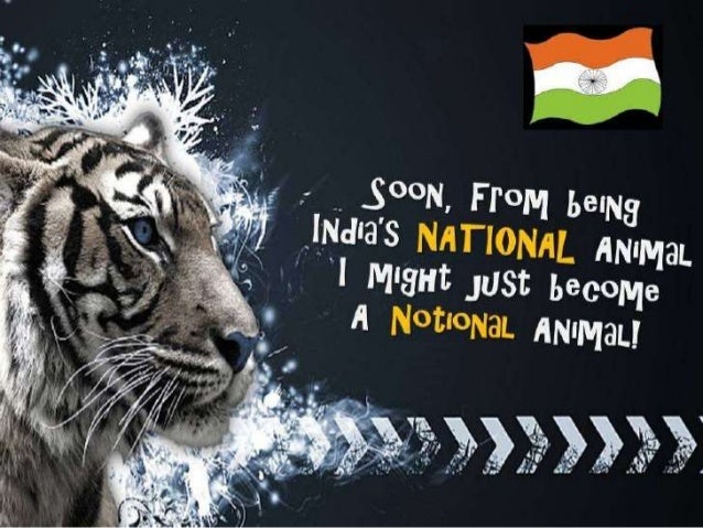 5 lines on save tigers image