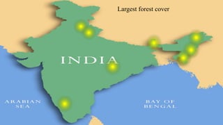 Largest forest cover
