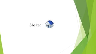 Shelter
