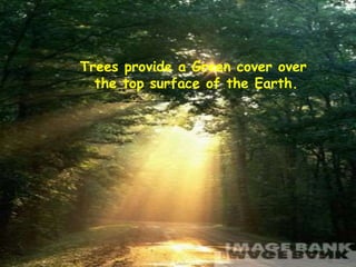 Trees provide a Green cover over
the top surface of the Earth.