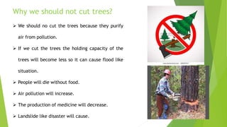 Why we should not cut trees?
 We should no cut the trees because they purify
air from pollution.
 If we cut the trees the holding capacity of the
trees will become less so it can cause flood like
situation.
 People will die without food.
 Air pollution will increase.
 The production of medicine will decrease.
 Landslide like disaster will cause.
 