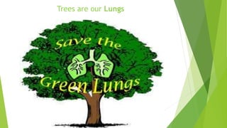 Trees are our Lungs
 