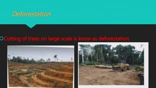 Deforestation
Cutting of trees on large scale is know as deforestation.
 