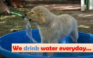 We drink water everyday…