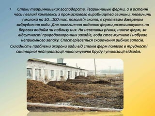 • Стоки тваринницьких господарств. Тваринницькі ферми, а в останні
часи і великі комплекси з промислового виробництва свинини, яловичини
і молока на 50...100 тис. поголів’я скота, є суттєвим джерелом
забруднення води. Для полегшення водопою ферми розташовують на
берегах водойм чи поблизу них. На невеликих річках, нижче ферм, за
відсутності природоохоронних заходів, вода стає мутною і набуває
неприємного запаху. Спостерігається скорочення рибних запасів.
Складність проблеми охорони води від стоків ферм полягає в трудності
санітарної нейтралізації накопичувачів бруду і утилізації відходів.
 