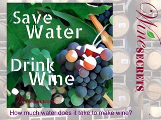 How much water does it take to make wine?
 