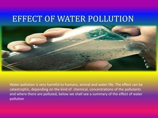 EFFECT OF WATER POLLUTION
Water pollution is very harmful to humans, animal and water life. The effect can be
catastrophic, depending on the kind of chemical, concentrations of the pollutants
and where there are polluted, below we shall see a summary of the effect of water
pollution
 