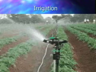 Irrigation
 