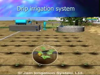 Drip irrigation system
 