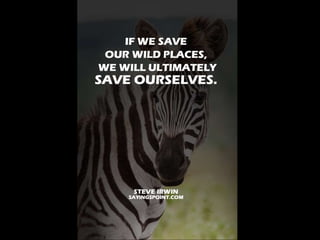 Save Wildlife Quotes and Sayings | PPTX