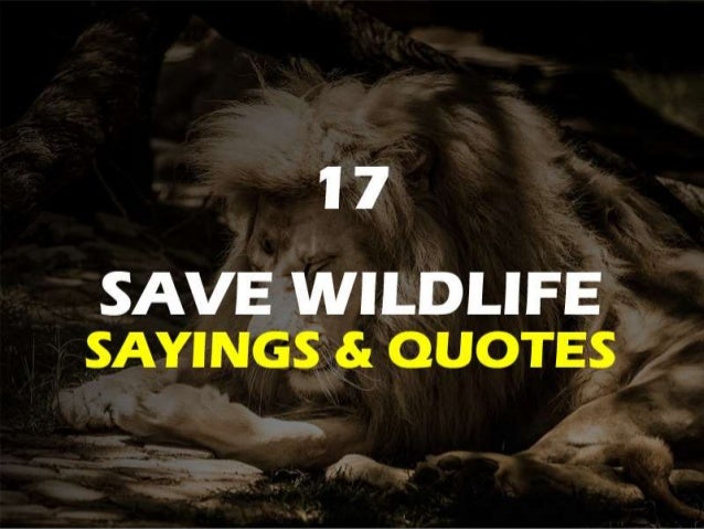 Save Wildlife Quotes and Sayings