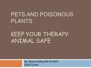 PETS AND POISONOUS
PLANTS

KEEP YOUR THERAPY
ANIMAL SAFE


    By: Myeshi Briley,MS,HS-BCP
    ESHI Center
 