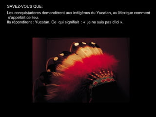 SAVEZ-VOUS QUE:
Les conquistadores demandèrent aux indígènes du Yucatan, au Mexique comment
 s’appellait ce lieu.
Ils répondirent : Yucatán. Ce qui signifiait : « je ne suis pas d’ici ».
 