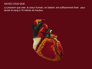 SAVEZ-VOUS QUE:
La pression que crée le coeur humain, en battant, est suffisamment forte pour
lancer le sang à 10 mètres de hauteur.
 