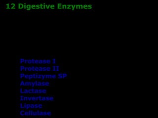 12 Digestive Enzymes 
Protease I 
Protease II 
Peptizyme SP 
Amylase 
Lactase 
Invertase 
Lipase 
Cellulase 
Alpha Galactosidase 
 