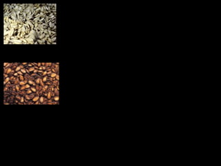 Sun Flower Seed 
Nutritional Profile 
Sunflower seeds are an excellent source of vitamin 
E. They are also a very good source of vitamin B1. In 
addition, sunflower seeds are a good source of manganese, 
magnesium, copper, selenium, phosphorous, vitamin B5 
and Folate. 
Flaxseed 
Health Benefit 
Flaxseed is used to treat chronic 
constipation, irritable colon, diverticulitis, and 
colon damage by using commercial laxatives. 
Assertions by researchers that flaxseed (or linseed 
oil) protects against some cancers and eases 
menstrual discomfort. Lignan Properties of flaxseed 
seem to block the creation of new tumors. 
 