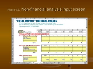Figure 9.3,   Non-financial analysis input screen




                                       16
 