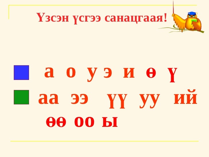 s avia useg
