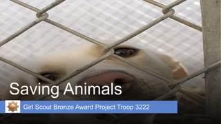 Saving Animals
Girl Scout Bronze Award Project Troop 3222
 