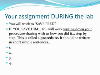 Your assignment DURING the lab
 You will work to “SAVE FRED”
 IF YOU SAVE HIM… You will work writing down your
procedure sharing with us how you did it… step by
step. This is called a procedure. It should be written
in short simple sentences…
 1.
 2.
 3.
 4.
 