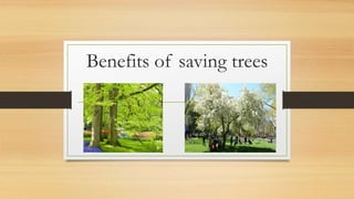 Benefits of saving trees
 