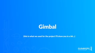Gimbal
(this is what we used for the project I’ll show you in a bit…)
 
