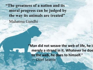 “The greatness of a nation and its moral progress can be judged by the way its animals are treated” 	Mahatma Gandhi “Man did not weave the web of life, he is merely a strand in it. Whatever he does to the web, he does to himself." — Chief Seattle 