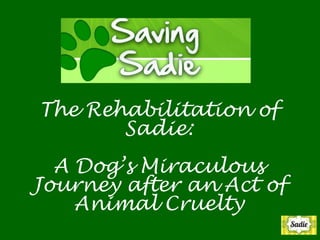 The Rehabilitation of
Sadie:
A Dog’s Miraculous
Journey after an Act of
Animal Cruelty
 