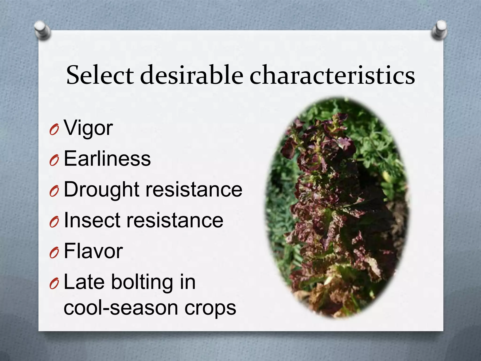Select desirable characteristics
O Vigor
O Earliness
O Drought resistance
O Insect resistance
O Flavor
O Late bolting in
 cool-season crops
 