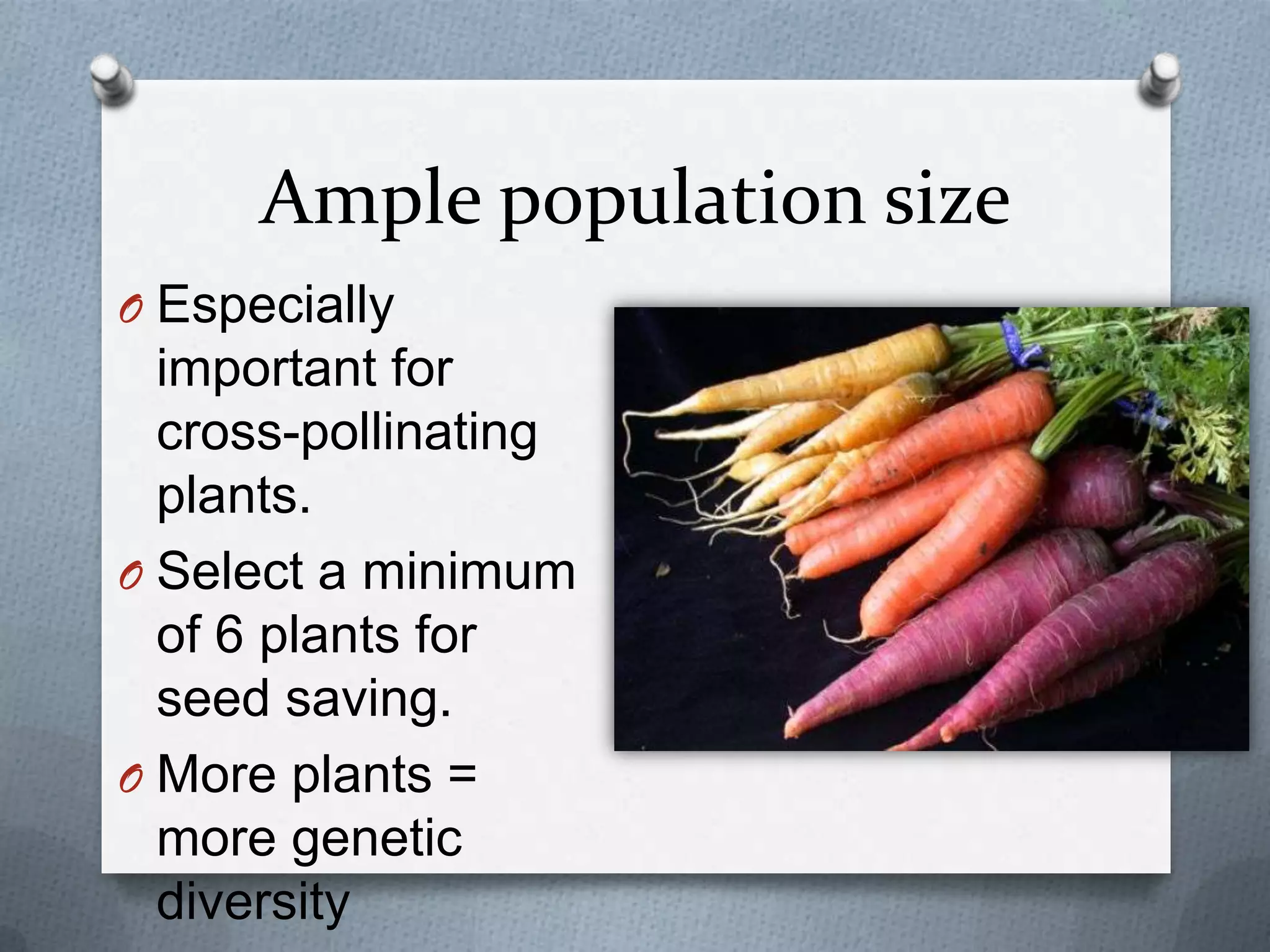 Ample population size
O Especially
  important for
  cross-pollinating
  plants.
O Select a minimum
  of 6 plants for
  seed saving.
O More plants =
  more genetic
  diversity
 