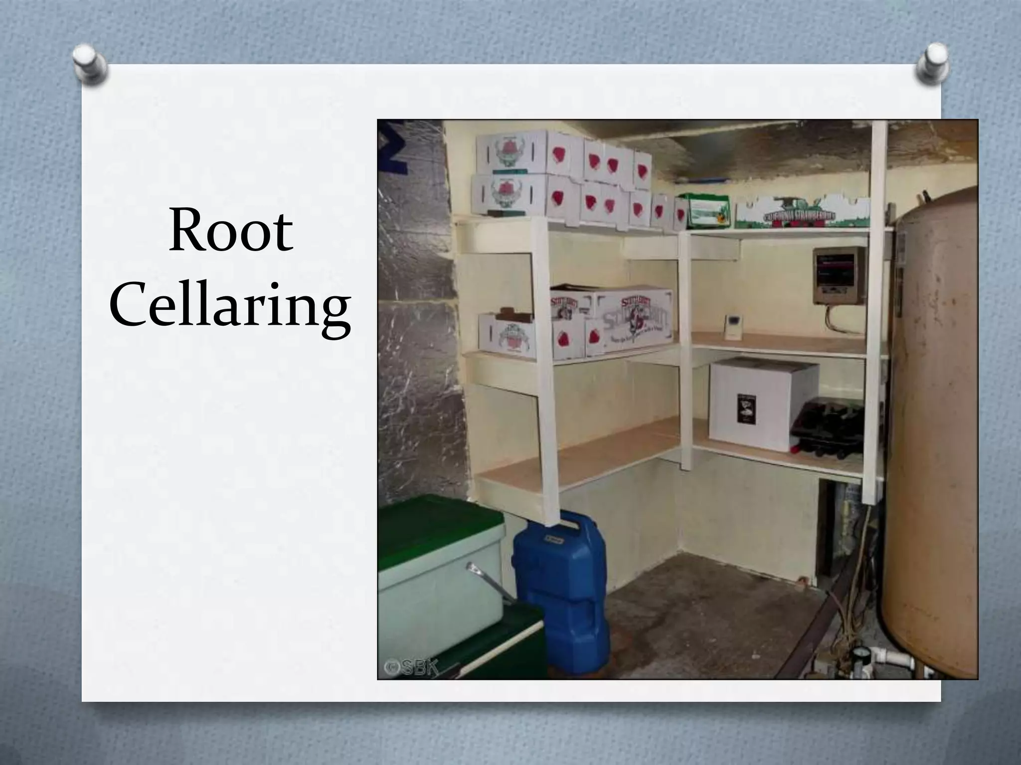 Root
Cellaring
 